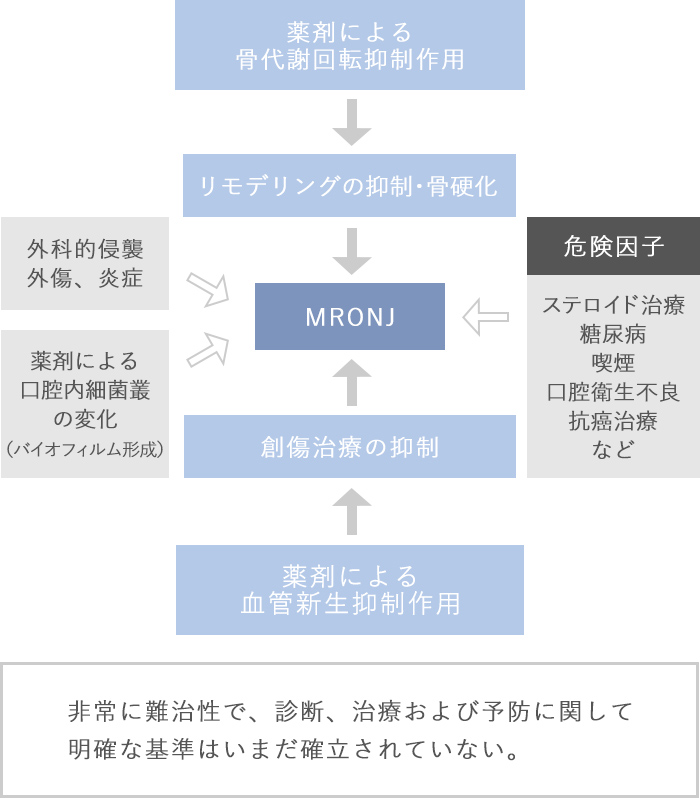 研究について - 当分野について│九州大学病院 顎口腔外科 口腔